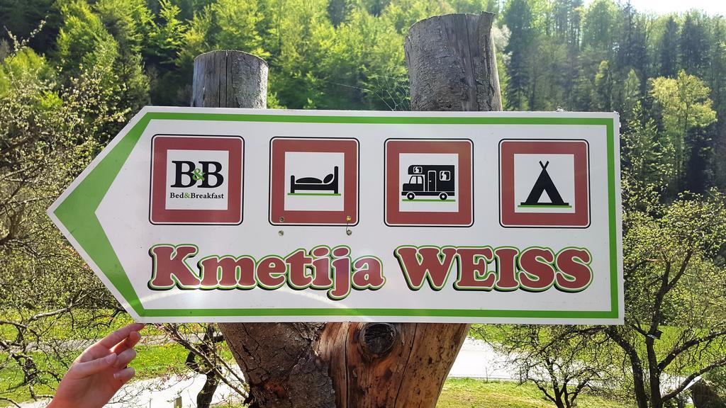 Miklavz pri TaboruTuristicna Kmetija Weiss别墅 外观 照片