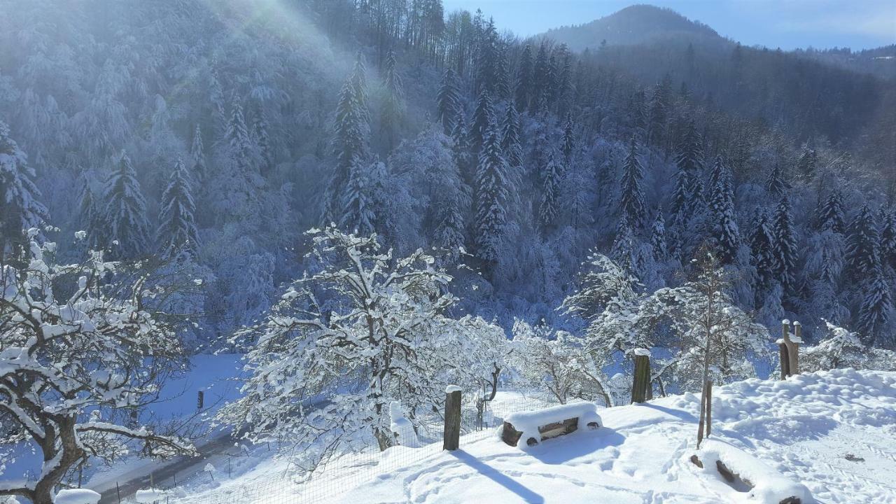 Miklavz pri TaboruTuristicna Kmetija Weiss别墅 外观 照片
